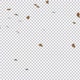 Falling Dried Leaves - Alpha Channel - VideoHive Item for Sale