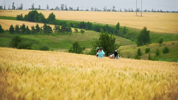 Caucasian Family Is Walking Far Away on a Summer Wheat Field in Slow Motion alt