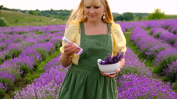 A Woman Collects Lavender Flowers for Essential Oil alt
