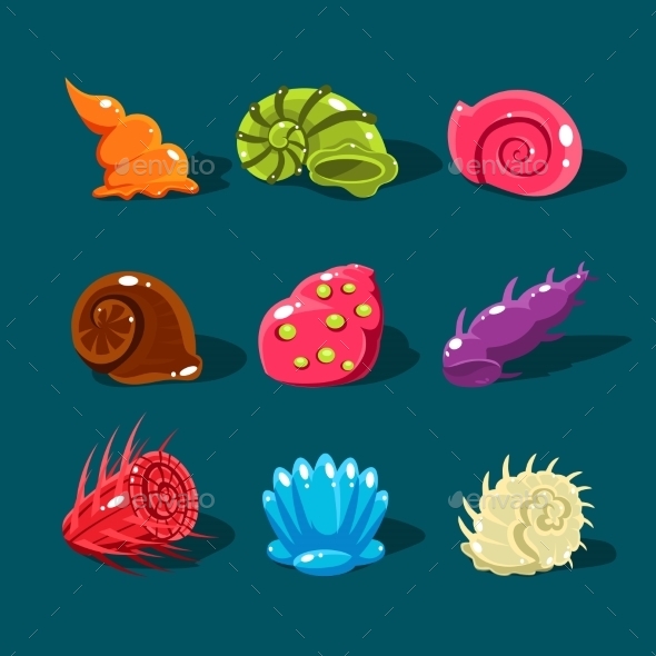 Vector Collection Of Colorful Shells Vector Collection Of Colorful Shells