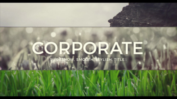 Slide for Business - VideoHive 12462234