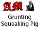 Grunting Squeaking Pig