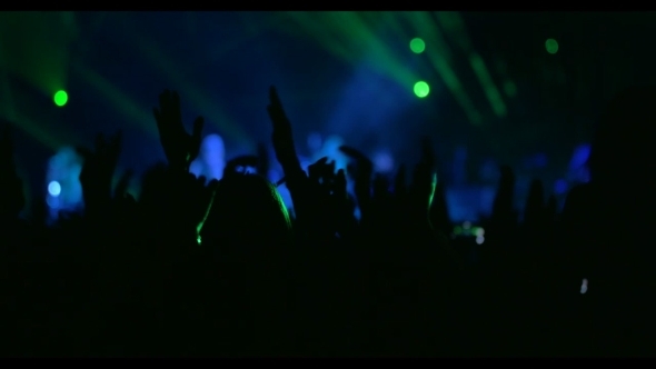 People Enjoying The Performance Of Favorite Singer People Enjoying The Performance Of Favorite Singer