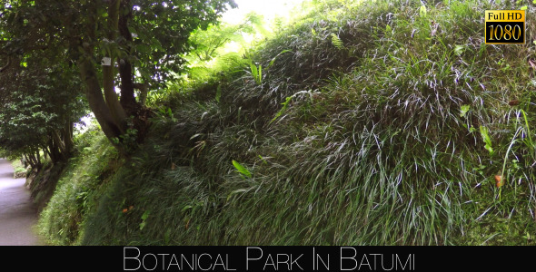 Botanical Park In Batumi 2