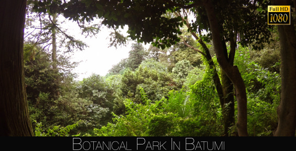 Botanical Park In Batumi 7 alt