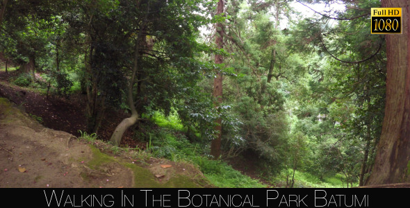 Botanical Park In Batumi 10 Botanical Park In Batumi 10
