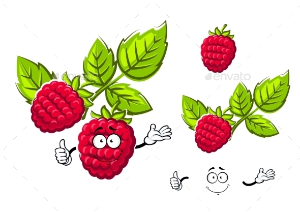 Ripe Isolated Red Rasberry Fruit Ripe Isolated Red Rasberry Fruit