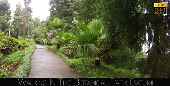 Botanical Park In Batumi 12 Botanical Park In Batumi 12