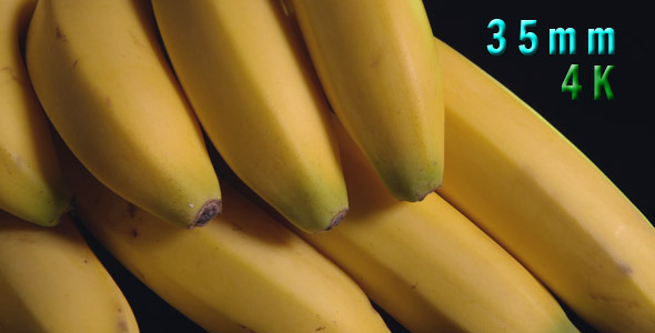 Bunch Of Bananas 01 Bunch Of Bananas 01