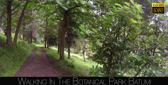 Botanical Park In Batumi 15 Botanical Park In Batumi 15