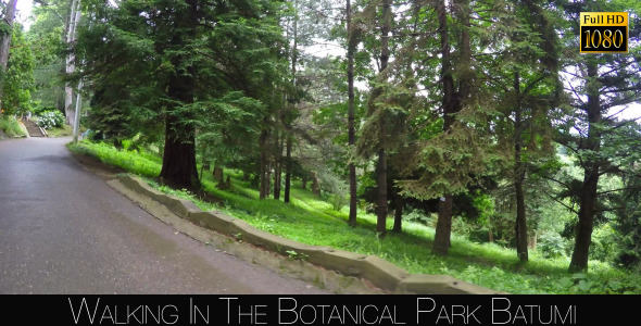 Botanical Park In Batumi 21 Botanical Park In Batumi 21