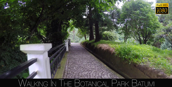 Botanical Park In Batumi 23 Botanical Park In Batumi 23