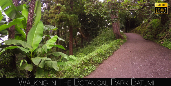 Botanical Park In Batumi 28 Botanical Park In Batumi 28
