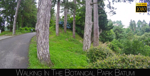 Botanical Park In Batumi 29 Botanical Park In Batumi 29