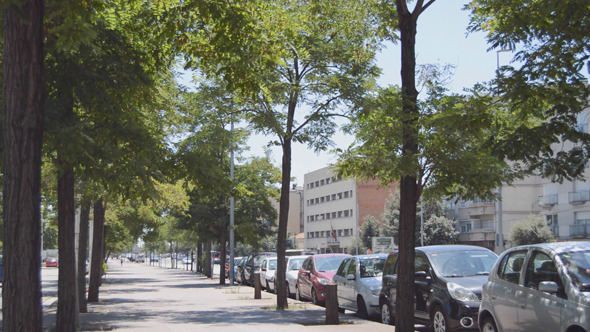Road Near Alley Road Near Alley