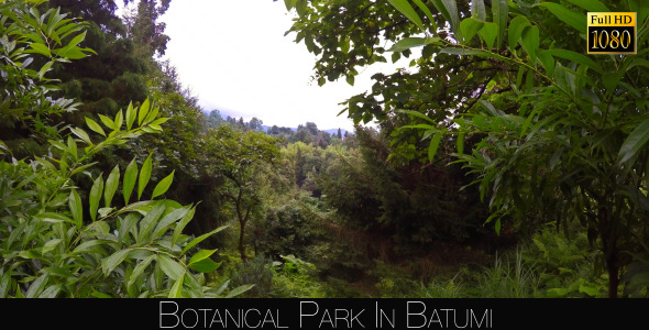 Botanical Park In Batumi 34 Botanical Park In Batumi 34