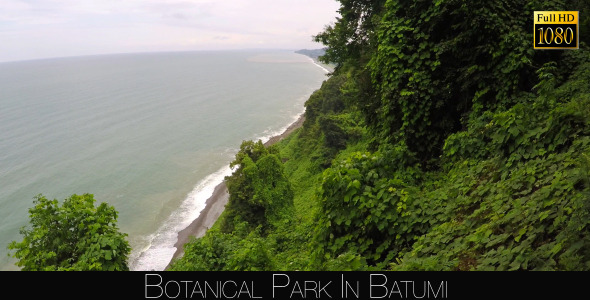 Botanical Park In Batumi 36 alt