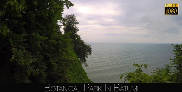 Botanical Park In Batumi 38 Botanical Park In Batumi 38