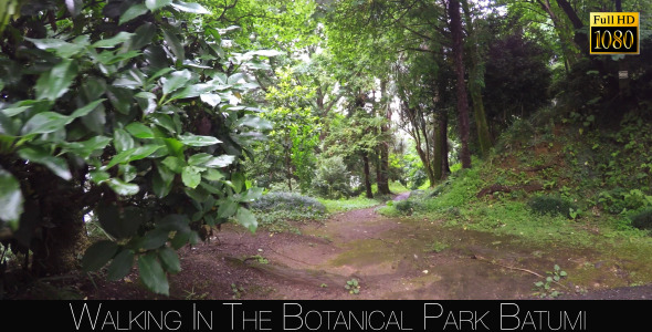 Botanical Park In Batumi 42 Botanical Park In Batumi 42