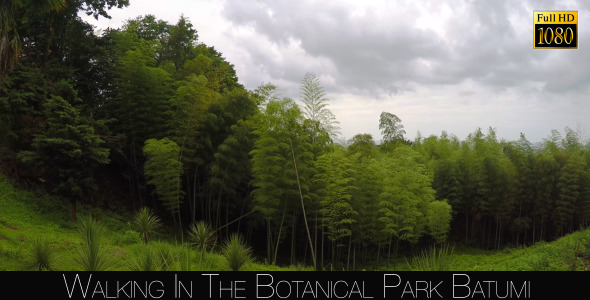 Botanical Park In Batumi 43 alt