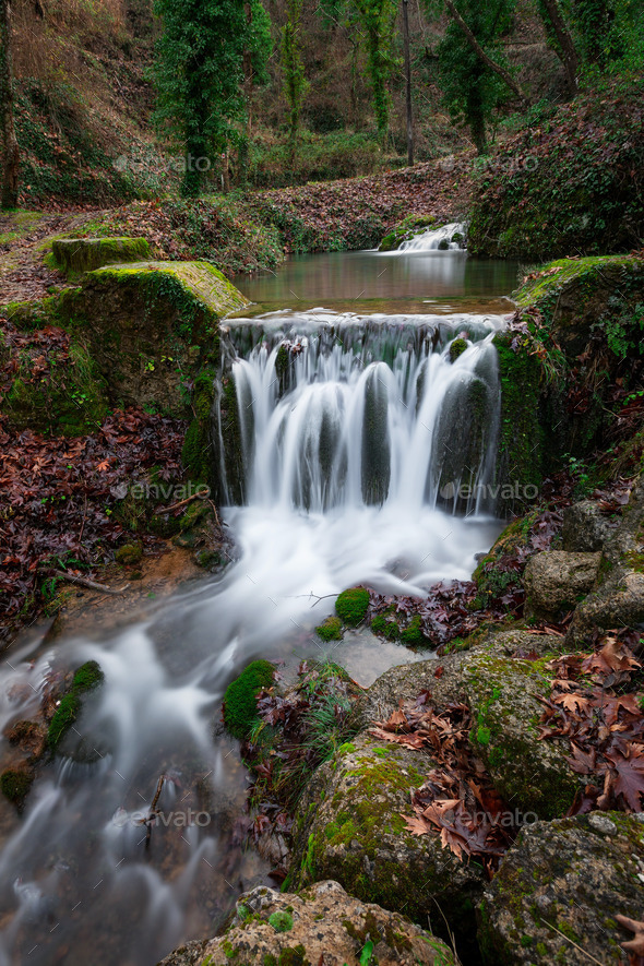 Waterfall in forest - Stock Photo - Images