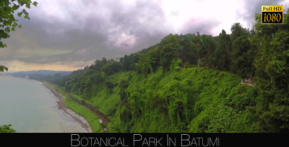 Botanical Park In Batumi 50 Botanical Park In Batumi 50