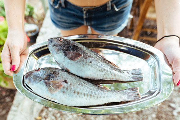 Fish on a platter - Stock Photo - Images