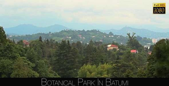 Botanical Park In Batumi 51 alt