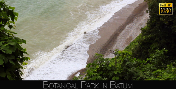 Botanical Park In Batumi 52 Botanical Park In Batumi 52