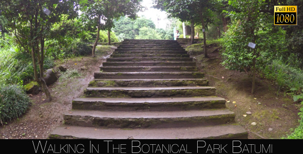 Botanical Park In Batumi 55 alt