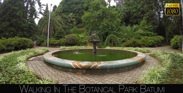 Botanical Park In Batumi 56 Botanical Park In Batumi 56