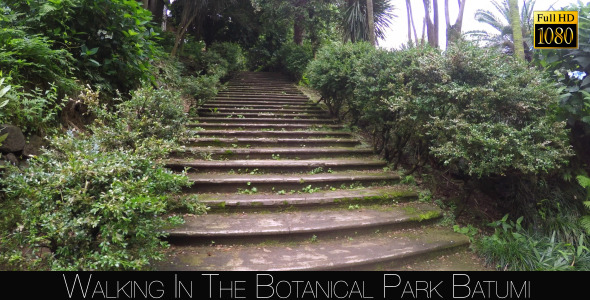 Botanical Park In Batumi 57 Botanical Park In Batumi 57