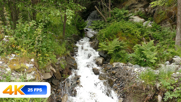 Small Waterfall in Mountain Forest