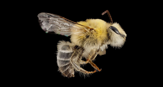 Best Portfolio WordPress Themes