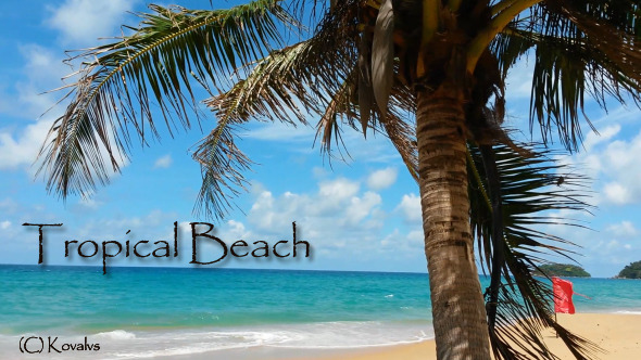 Tropical Beach 