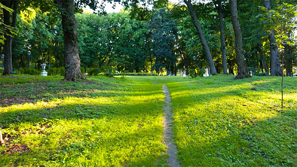 Through the Park Through the Park