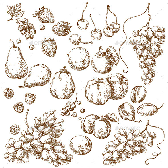 Set of Fruits Sketch - Food Objects