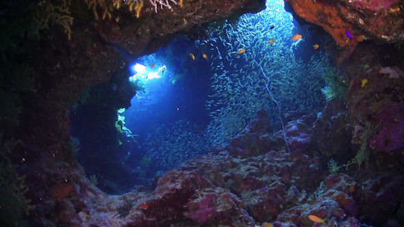Sunlight Illuminates a Underwater Cave Sunlight Illuminates a Underwater Cave