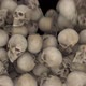 Skulls Transition - VideoHive Item for Sale