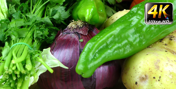 Vegetables 10 Vegetables 10