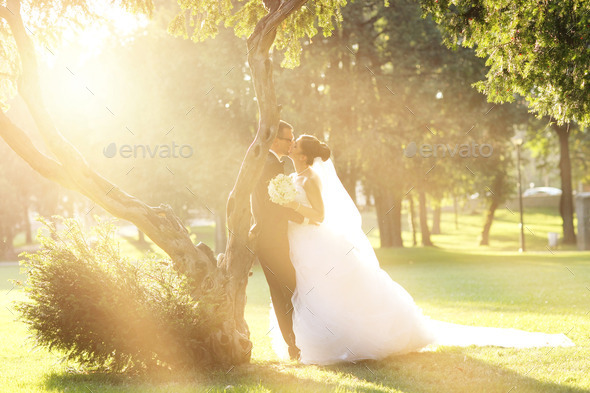 Bride and Groom surrounding by natural golden sunlight
