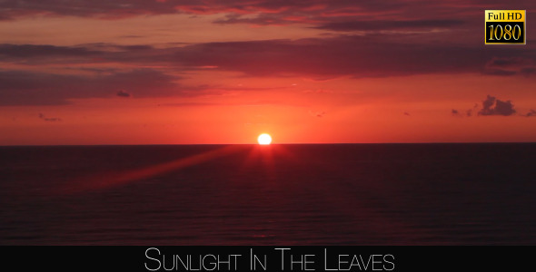 Sunset On The Sea 7 Sunset On The Sea 7