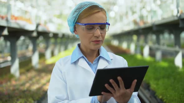 Busy Scientist Working on Tablet in Greenhouse, Using Smart App for Research