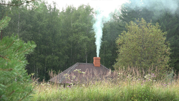 Forest House or Sauna Forest House or Sauna