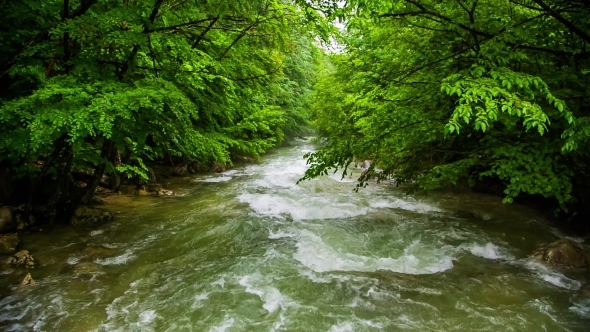 Calm Mountain River Flowing Down Among Greenery In