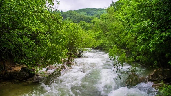 Rapid Mountain River Flowing In Fresh Green Forest