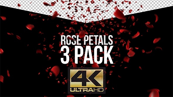 Rose Petals - 3 Pack