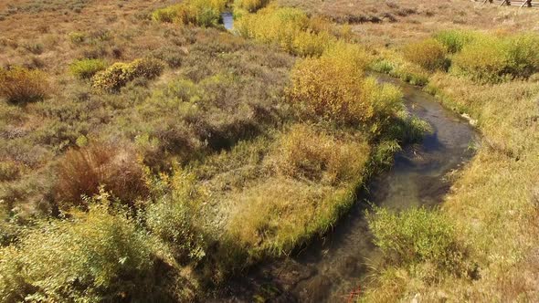Aerial view of Kokanee Salmon spawning in a small river in Utah alt