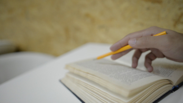 Reading Book Reading Book