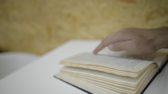 Book Reading Book Reading